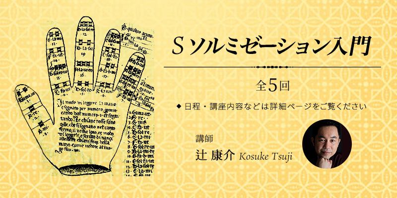 S ソルミゼーション入門